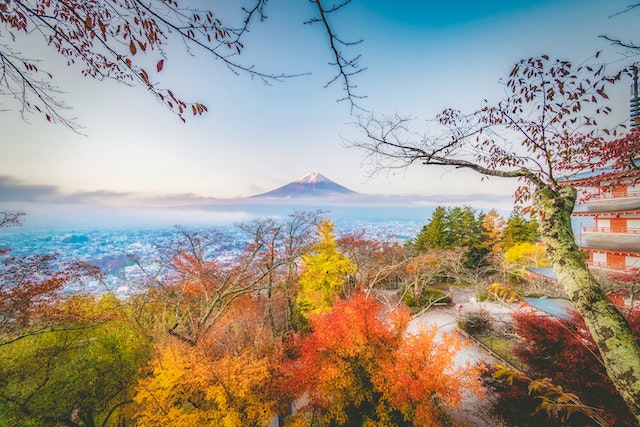 Mount Fuji's changing colours