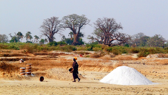 Senegal salt