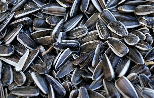 sunflower seeds