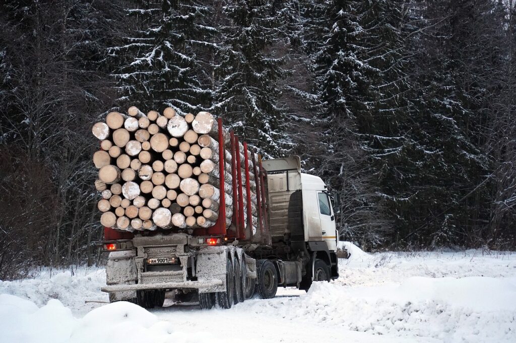 logging