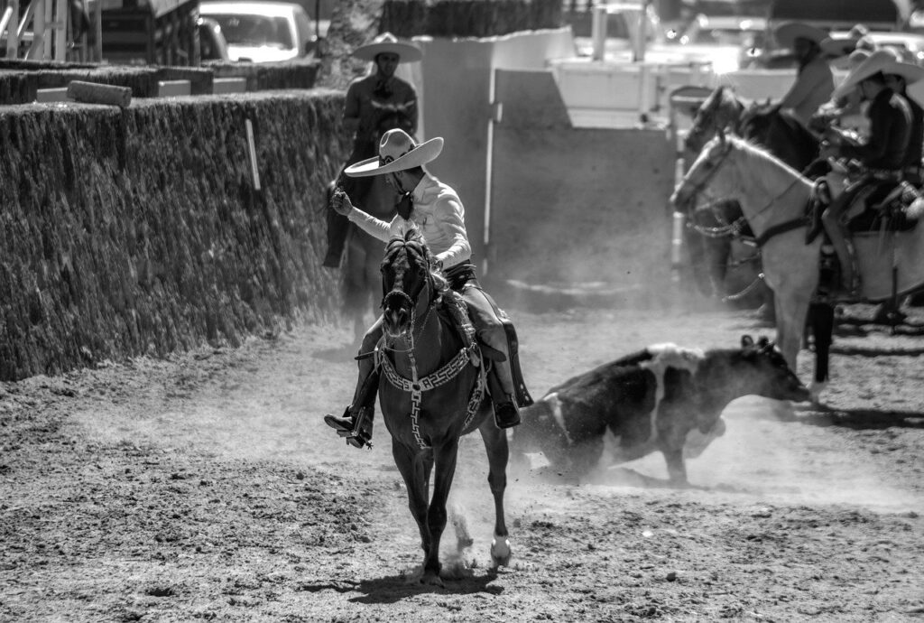 Charros