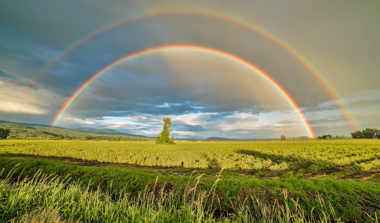 Rainbow Facts for Kids (The Best 47): Natural Magic!
