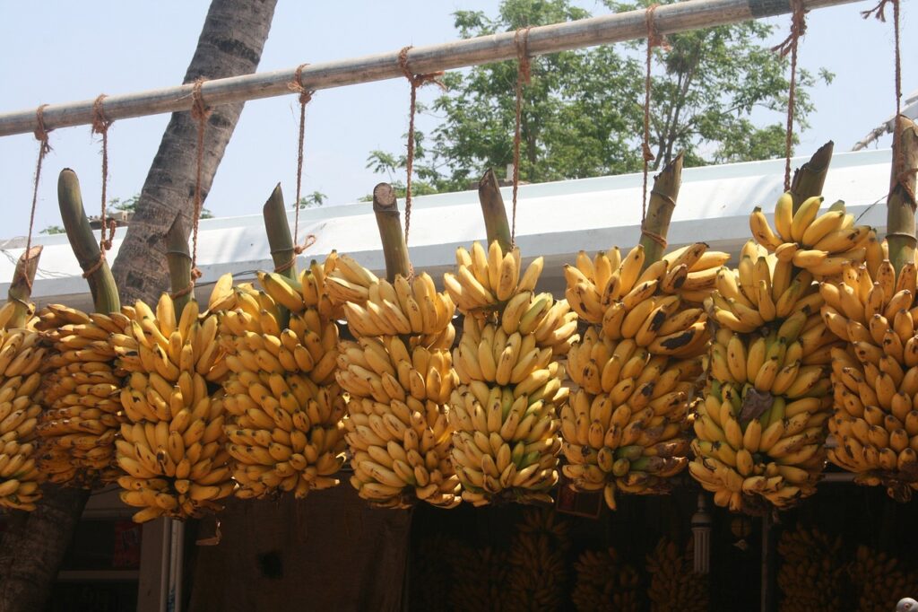 Varieties of Bananas