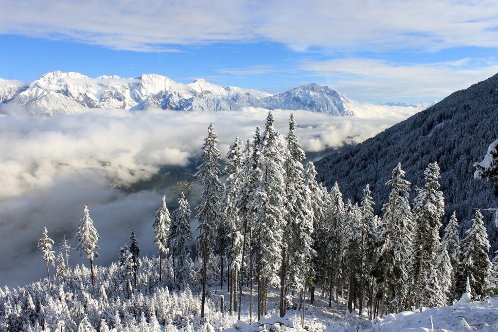 Snowy landscape