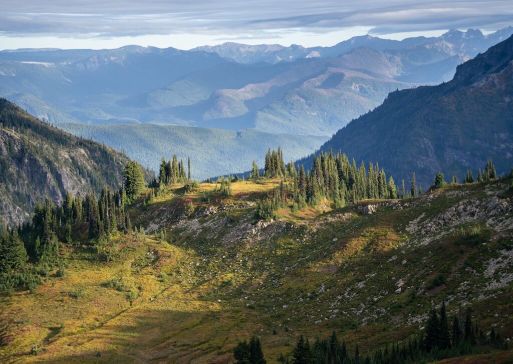 Mount Rainier National Park
