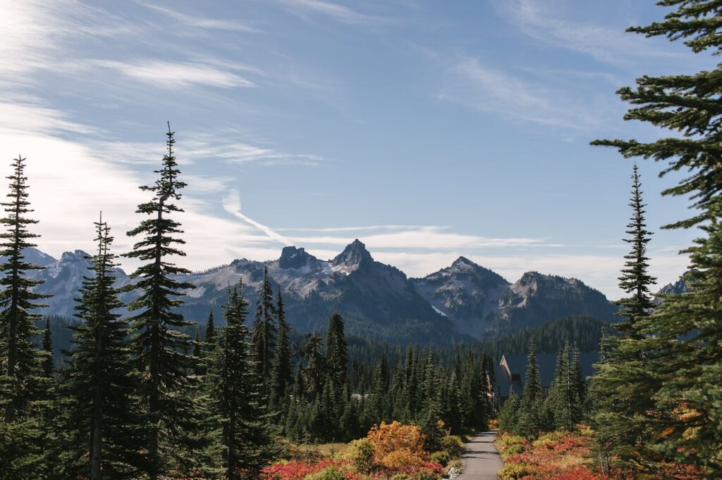 Mount Rainier