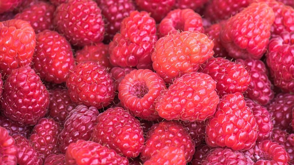red raspberries