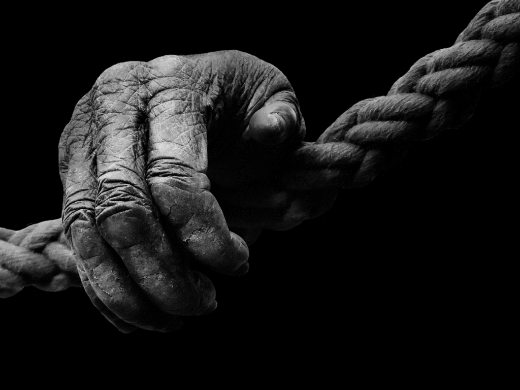 Gorillas hand