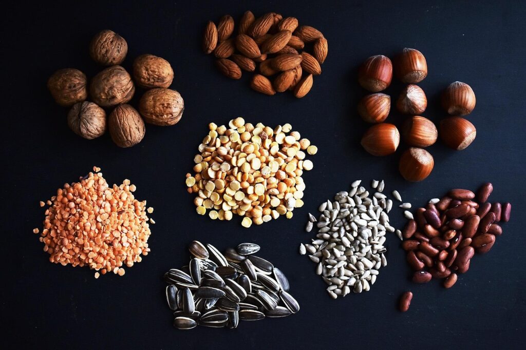 plant-based proteins