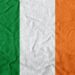 The Irish flag