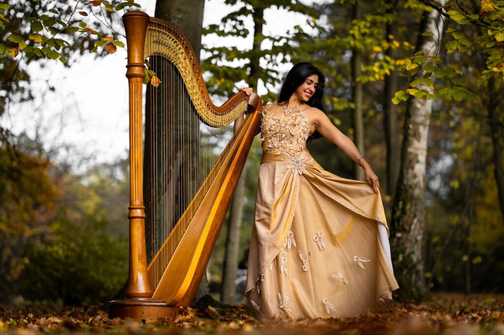 irish harp