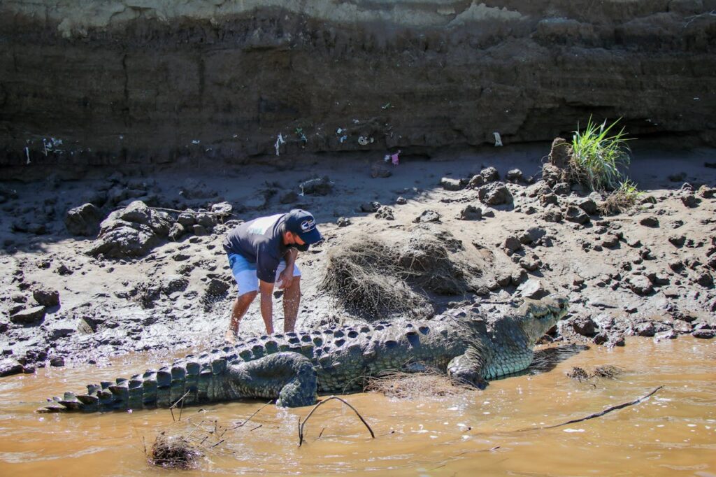 Crocodiles and Human Interactions