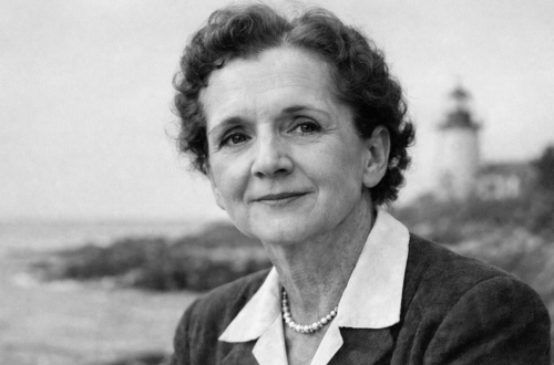 Portrait of Rachel Carson by the coast symbolizing her love of the natural world