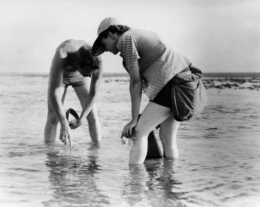 Rachel Carson conducts Marine Biology Research