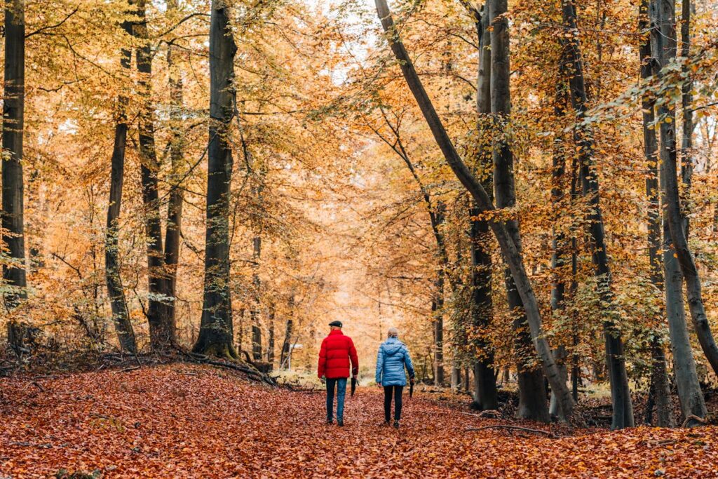 facts about trees
